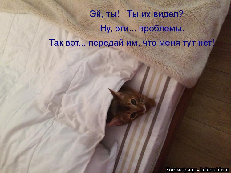 Эй, ты! Ты их видел? Ну, эти... проблемы. Так вот... передай им, что меня тут нет!... Котоматрица: Эй, ты! Ты их видел? Ну, эти... проблемы. Так вот... передай им, что меня тут нет!
