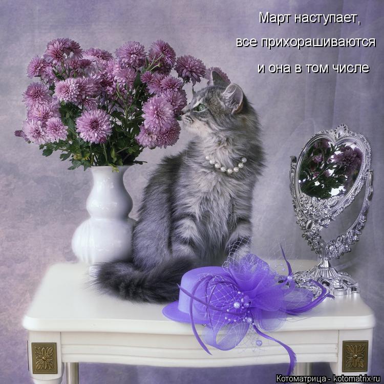 Март наступает все прихорашиваются , и она в том числе... Котоматрица: Март наступает все прихорашиваются , и она в том числе