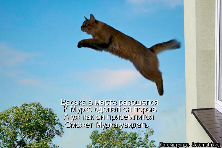 Васька в марте разошелся К Мурке сделал он порыв А уж как он приземлится Сможет Мурка увидать... Котоматрица: Васька в марте разошелся К Мурке сделал он порыв А уж как он приземлится Сможет Мурка увидать