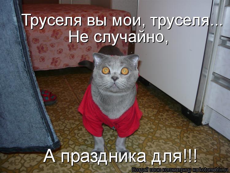 Труселя вы мои, труселя... Не случайно, А праздника для!!!... Котоматрица: Труселя вы мои, труселя... Не случайно, А праздника для!!!