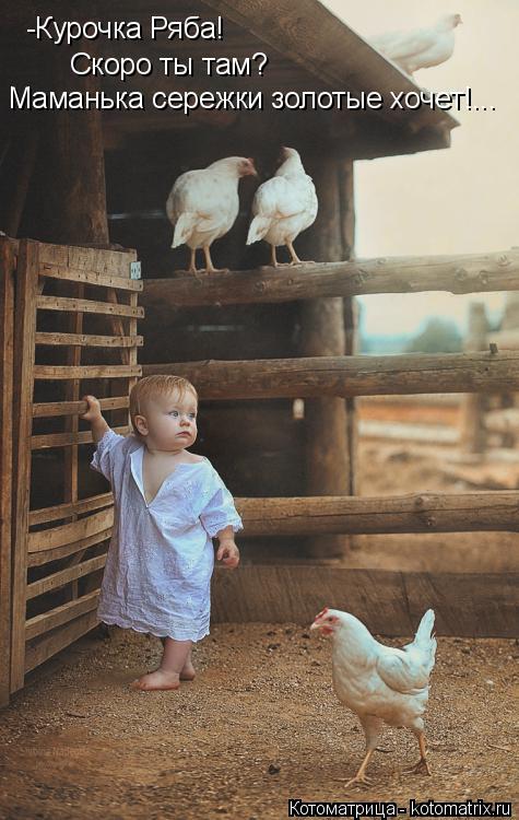 -Курочка Ряба! Скоро ты там? Маманька сережки золотые хочет!...... Котоматрица: -Курочка Ряба! Скоро ты там? Маманька сережки золотые хочет!...