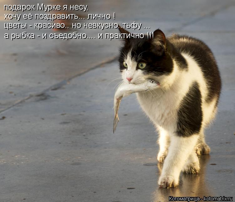 подарок Мурке я несу, хочу её поздравить... лично ! цветы - красиво.. но невкусно..тьфу ... а рыбка -... Котоматрица: подарок Мурке я несу, хочу её поздравить... лично ! цветы - красиво.. но невкусно..тьфу ... а рыбка - и съедобно.... и практично !!!