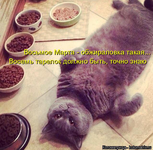 Восемь тарелок должно быть, точно знаю Восьмое Марта - обжираловка такая...... Котоматрица: Восемь тарелок должно быть, точно знаю Восьмое Марта - обжираловка такая...