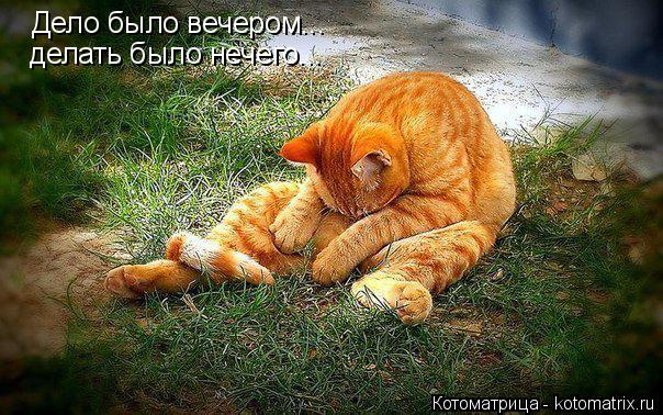 Дело было вечером... делать было нечего...... Котоматрица: Дело было вечером... делать было нечего...
