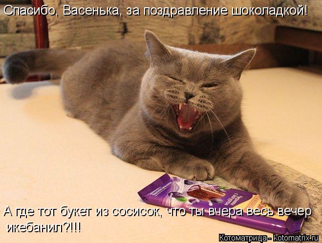 Спасибо, Васенька, за поздравление шоколадкой! А где тот букет из сосисок, что ты вчера весь вечер ик... Котоматрица: Спасибо, Васенька, за поздравление шоколадкой! А где тот букет из сосисок, что ты вчера весь вечер икебанил?!!!