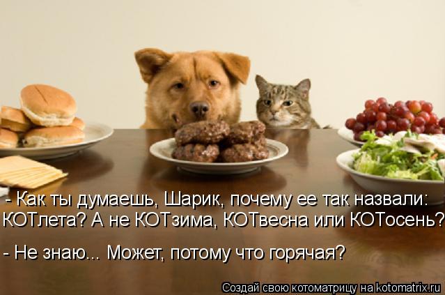 - Как ты думаешь, Шарик, почему ее так назвали: КОТлета? А не КОТзима, КОТвесна или КОТосень? - Не з... Котоматрица: - Как ты думаешь, Шарик, почему ее так назвали: КОТлета? А не КОТзима, КОТвесна или КОТосень? - Не знаю... Может, потому что горячая?