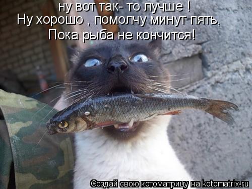 Ну хорошо , помолчу минут пять, Пока рыба не кончится! ну вот так- то лучше !... Котоматрица: Ну хорошо , помолчу минут пять, Пока рыба не кончится! ну вот так- то лучше !