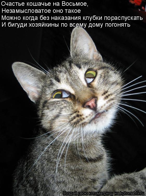 Незамысловатое оно такое Можно когда без наказания клубки пораспускать Счастье кошачье на Восьмое, И ... Котоматрица: Незамысловатое оно такое Можно когда без наказания клубки пораспускать Счастье кошачье на Восьмое, И бигуди хозяйкины по всему дому погон