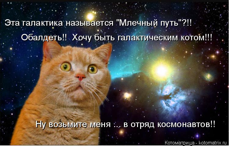 Эта галактика называется "Млечный путь"?!! Обалдеть!! Хочу быть галактическим котом!!! Ну возьмите м... Котоматрица: Эта галактика называется "Млечный путь"?!! Обалдеть!! Хочу быть галактическим котом!!! Ну возьмите меня ... в отряд космонавтов!!