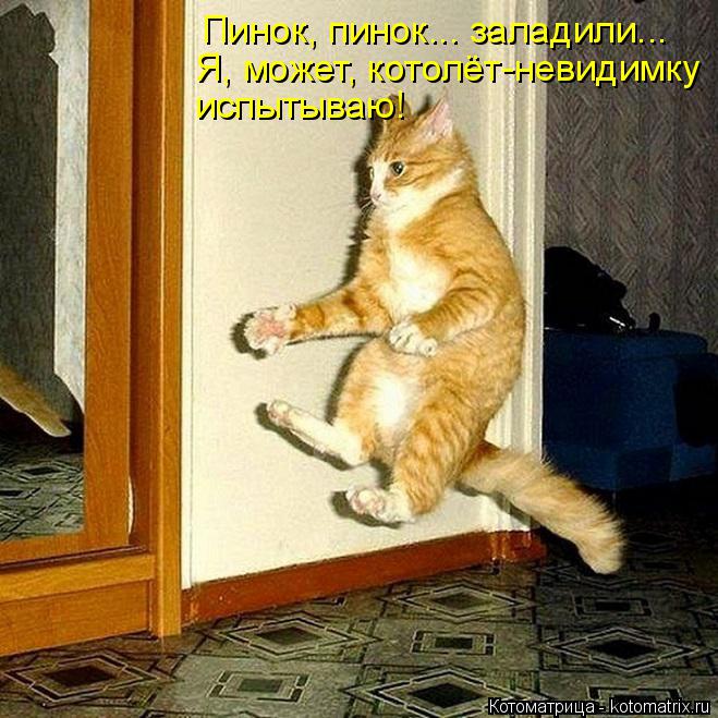 Котоматрица: Пинок, пинок... заладили... Я, может, котолёт-невидимку испытываю!