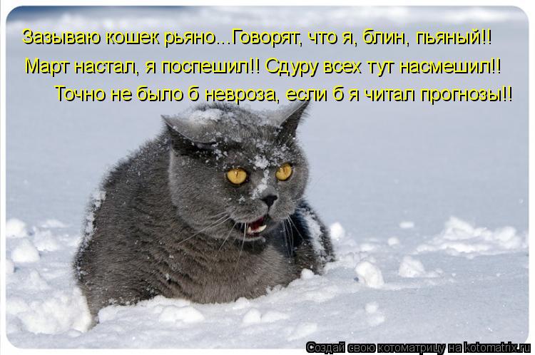 Зазываю кошек рьяно...Говорят, что я, блин, пьяный!! Март настал, я поспешил!! Сдуру всех тут насмеши... Котоматрица: Зазываю кошек рьяно...Говорят, что я, блин, пьяный!! Март настал, я поспешил!! Сдуру всех тут насмешил!! Точно не было б невроза, если б я читал п