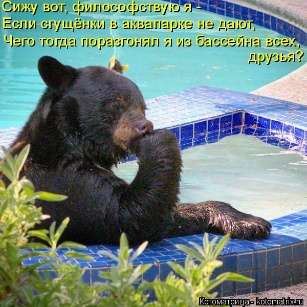 Котоматрица: Сижу вот, философствую я - Если сгущёнки в аквапарке не дают, Чего тогда поразгонял я из бассейна всех, друзья?