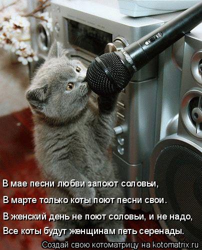 Котоматрица: Все коты будут женщинам петь серенады.  В женский день не поют соловьи, и не надо,  В марте только коты поют песни свои. В мае песни любви запо