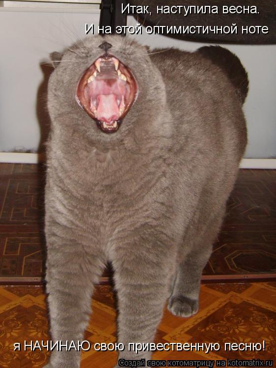 Котоматрица: И на этой оптимистичной ноте  Итак, наступила весна. я НАЧИНАЮ свою привественную песню!