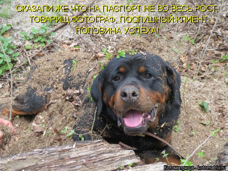 Котоматрица: СКАЗАЛИ ЖЕ ЧТО НА ПАСПОРТ НЕ ВО ВЕСЬ РОСТ,  ТОВАРИЩ ФОТОГРАФ, ПОСЛУШНЫЙ КЛИЕНТ- ПОЛОВИНА УСПЕХА!