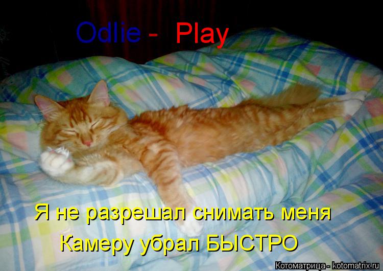 Котоматрица: Odlie Play - Я не разрешал снимать меня Камеру убрал БЫСТРО