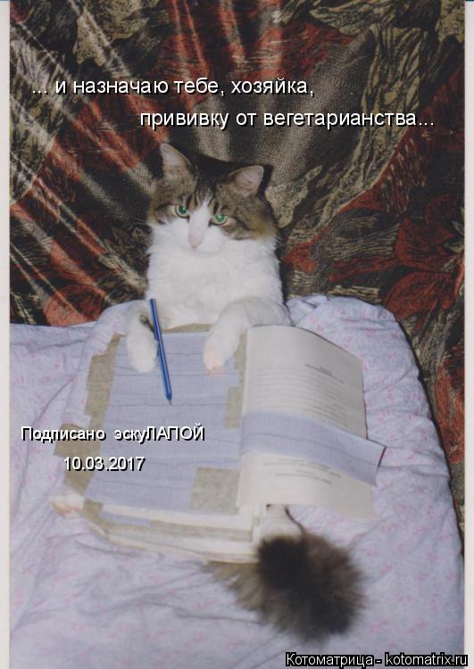 Котоматрица: ... и назначаю тебе, хозяйка, прививку от вегетарианства... 10.03.2017 Подписано  эскуЛАПОЙ