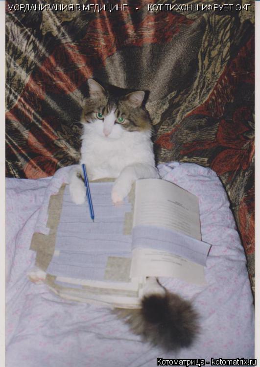 Котоматрица: МОРДАНИЗАЦИЯ В МЕДИЦИНЕ    -    КОТ ТИХОН ШИФРУЕТ ЭКГ