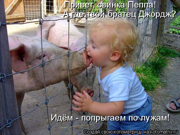 Котоматрица: Привет, свинка Пеппа! А где твой братец Джордж? Идём - попрыгаем по лужам!