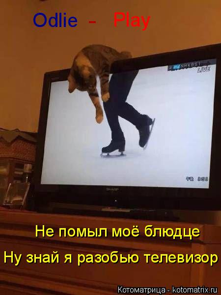 Котоматрица: Odlie Play - Не помыл моё блюдце Ну знай я разобью телевизор
