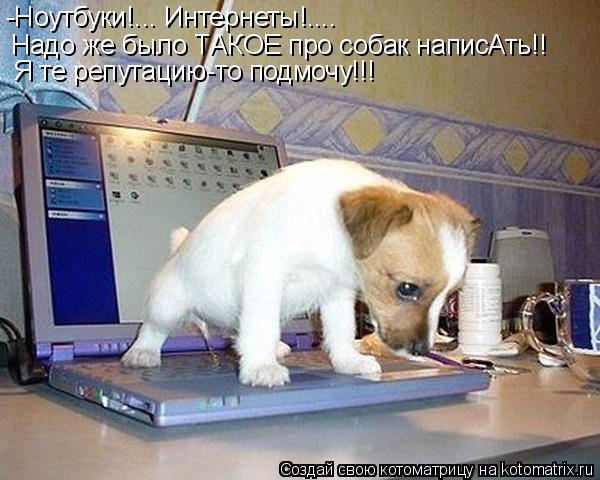 -Ноутбуки!... Интернеты!.... Надо же было ТАКОЕ про собак написАть!! Я те репутацию-то подмочу!!!... Котоматрица: -Ноутбуки!... Интернеты!.... Надо же было ТАКОЕ про собак написАть!! Я те репутацию-то подмочу!!!