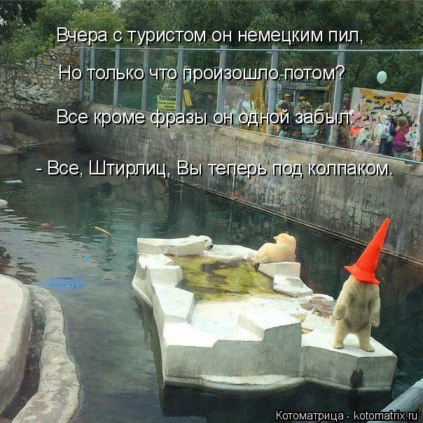 Вчера с туристом он немецким пил, Но только что произошло потом? Все кроме фразы он одной забыл: - В... Котоматрица: Вчера с туристом он немецким пил, Но только что произошло потом? Все кроме фразы он одной забыл: - Все, Штирлиц, Вы теперь под колпаком.