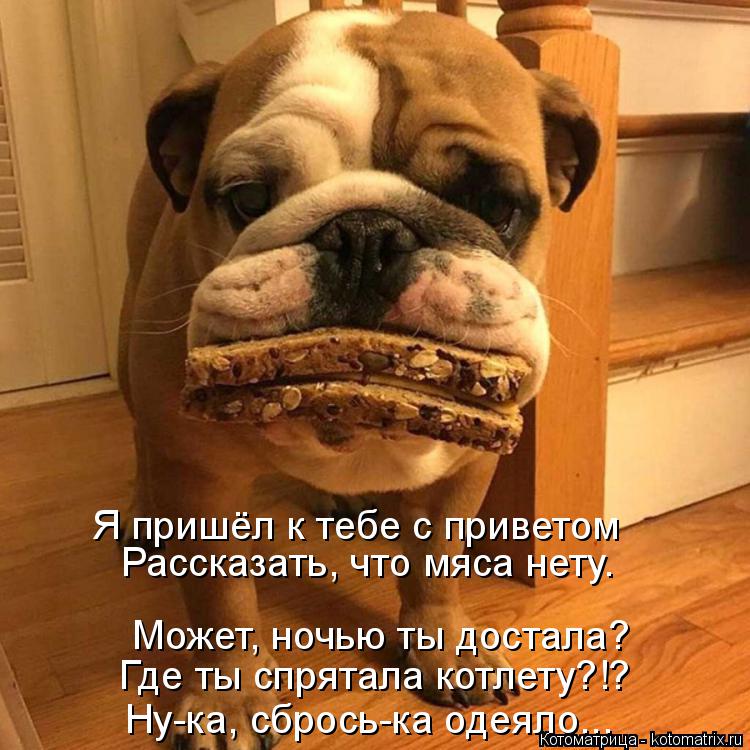 Я пришёл к тебе с приветом Где ты спрятала котлету?!? Может, ночью ты достала? Ну-ка, сбрось-ка одеял... Котоматрица: Я пришёл к тебе с приветом Где ты спрятала котлету?!? Может, ночью ты достала? Ну-ка, сбрось-ка одеяло... Рассказать, что мяса нету.