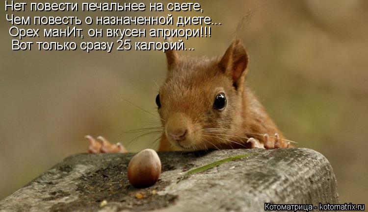 Нет повести печальнее на свете, Чем повесть о назначенной диете... Орех манИт, он вкусен априори!!! В... Котоматрица: Нет повести печальнее на свете, Чем повесть о назначенной диете... Орех манИт, он вкусен априори!!! Вот только сразу 25 калорий...