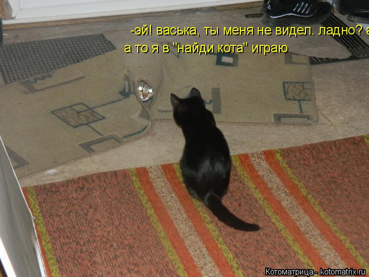 Котоматрица: -эй! васька, ты меня не видел. ладно? а то я в "найди кота" играю  а то я в "найди кота" играю