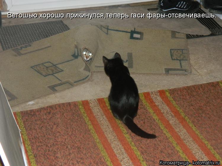 Ветошью хорошо прикинулся,теперь гаси фары-отсвечиваешь.... Котоматрица: Ветошью хорошо прикинулся,теперь гаси фары-отсвечиваешь.