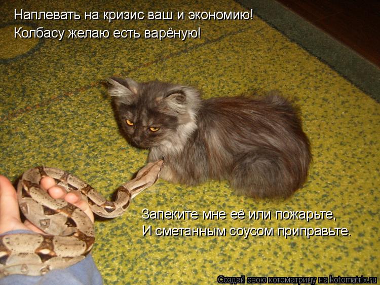Котоматрица: Наплевать на кризис ваш и экономию! Колбасу желаю есть варёную! Запеките мне её или пожарьте, И сметанным соусом приправьте.