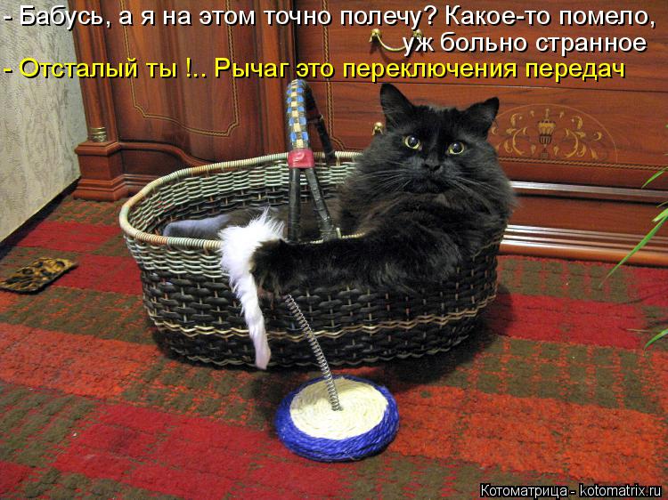 Котоматрица: - Бабусь, а я на этом точно полечу? Какое-то помело, уж больно странное - Отсталый ты !.. Рычаг это переключения передач