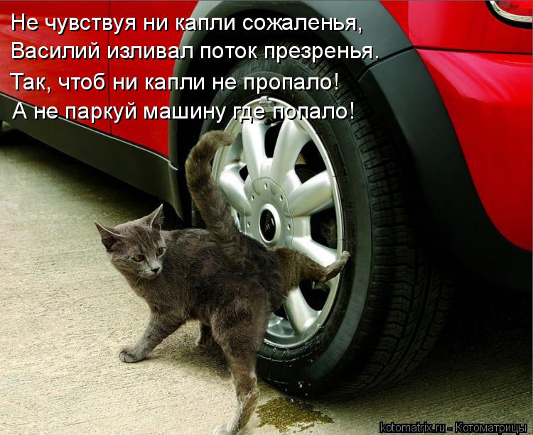 Не чувствуя ни капли сожаленья, Василий изливал поток презренья. Так, чтоб ни капли не пропало! А не ... Котоматрица: Не чувствуя ни капли сожаленья, Василий изливал поток презренья. Так, чтоб ни капли не пропало! А не паркуй машину где попало!