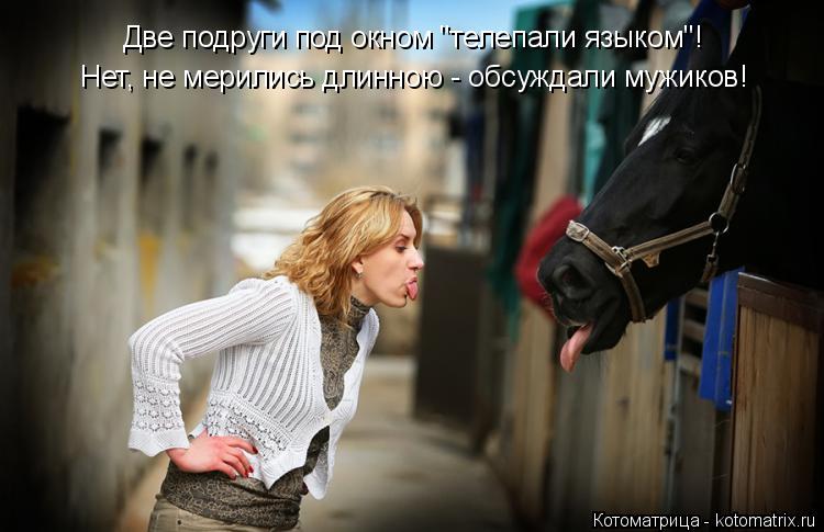 Котоматрица: Две подруги под окном "телепали языком"! Нет, не мерились длинною - обсуждали мужиков!