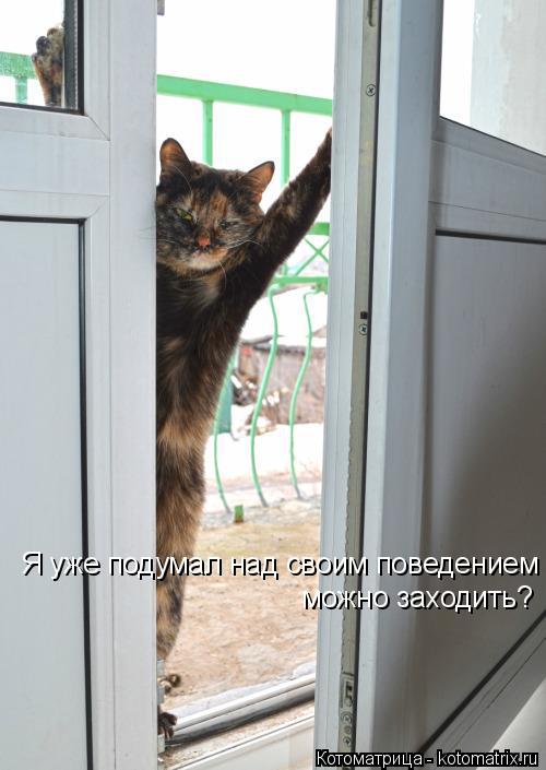 Котоматрица: Я уже подумал над своим поведением можно заходить?