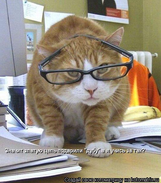 Котоматрица: Значит златую цепь подарили "дубу" а я учись за так?