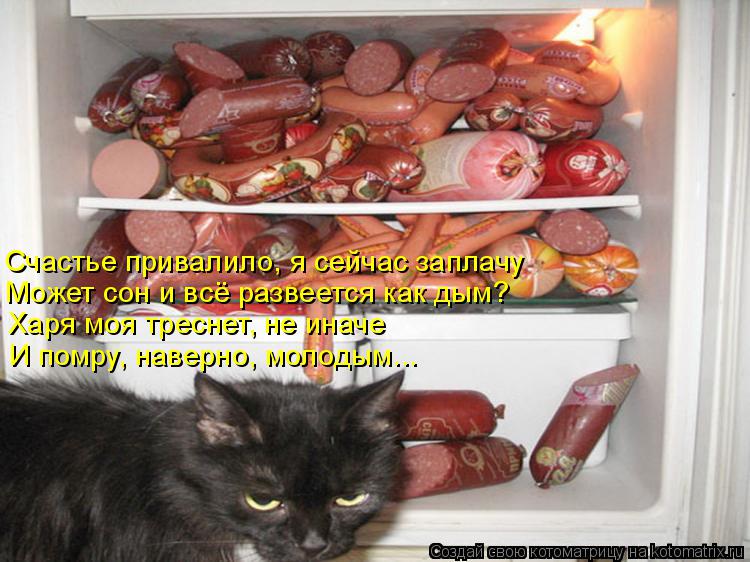 Котоматрица: Счастье привалило, я сейчас заплачу Может сон и всё развеется как дым? Харя моя треснет, не иначе И помру, наверно, молодым...