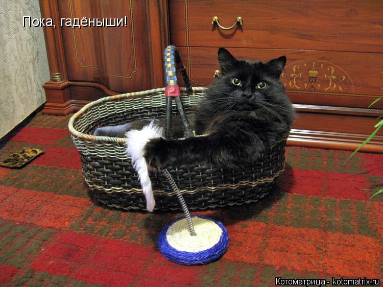 Котоматрица: Пока, гадёныши!