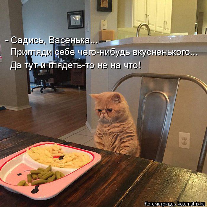 Котоматрица: - Садись, Васенька...  Пригляди себе чего-нибудь вкусненького... Да тут и глядеть-то не на что!