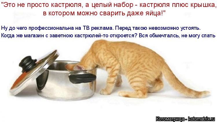 Котоматрица: Когда же магазин с заветною кастрюлей-то откроется? Вся обмечталсь, не могу спать Ну до чего профессиональна на ТВ реклама. Перед такою нево