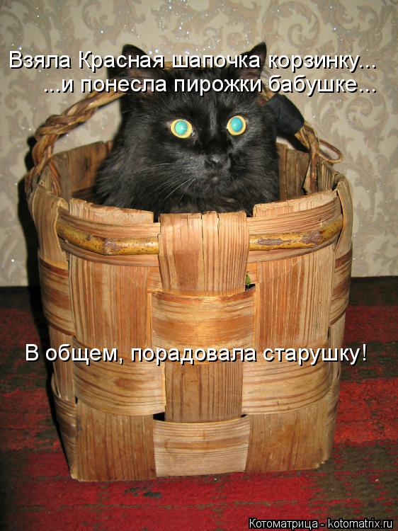 Котоматрица: Взяла Красная шапочка корзинку... ...и понесла пирожки бабушке... В общем, порадовала старушку!