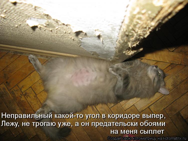 Котоматрица: Неправильный какой-то угол в коридоре выпер, Лежу, не трогаю уже, а он предательски обоями на меня сыплет