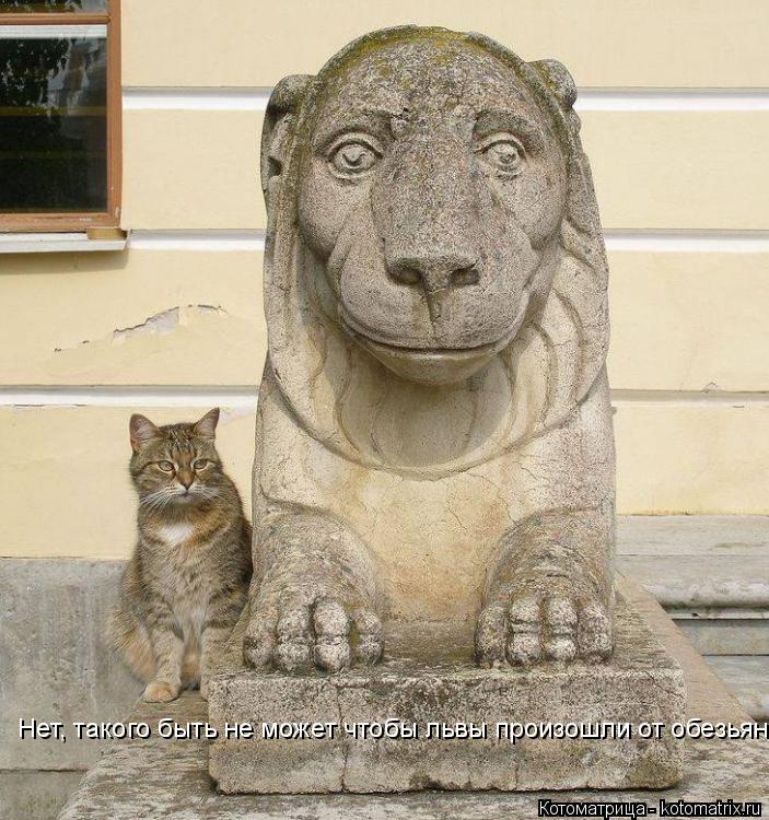 Котоматрица: Нет, такого быть не может чтобы львы произошли от обезьян!