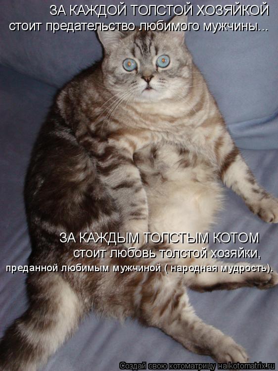 ЗА КАЖДОЙ ТОЛСТОЙ ХОЗЯЙКОЙ ЗА КАЖДЫМ ТОЛСТЫМ КОТОМ стоит предательство любимого мужчины... стоит люб... Котоматрица: ЗА КАЖДОЙ ТОЛСТОЙ ХОЗЯЙКОЙ ЗА КАЖДЫМ ТОЛСТЫМ КОТОМ стоит предательство любимого мужчины... стоит любовь толстой хозяйки, преданной любимы