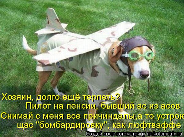 Котоматрица: Хозяин, долго ещё терпеть?  Пилот на пенсии, бывший ас из асов Снимай с меня все причиндалы,а то устрою щас "бомбардировку", как люфтваффе