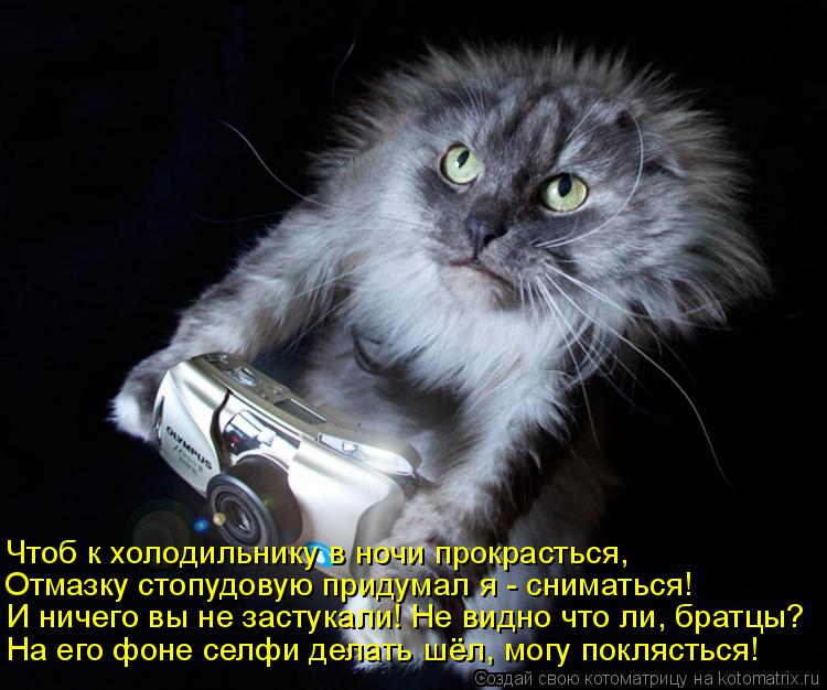 Котоматрица: Чтоб к холодильнику в ночи прокрасться, Отмазку стопудовую придумал я - сниматься! И ничего вы не застукали! Не видно что ли, братцы? На его ф