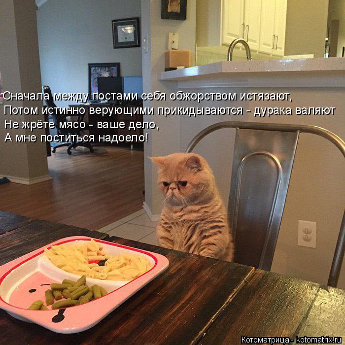 Котоматрица: Сначала между постами себя обжорством истязают, Потом истинно верующими прикидываются - дурака валяют Не жрёте мясо - ваше дело, А мне пости