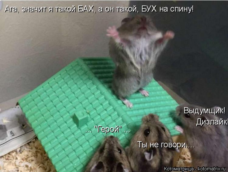 Котоматрица: Ага, значит я такой БАХ, а он такой, БУХ на спину! ... "Герой" ... Ты не говори.... Выдумщик! Дизлайк!