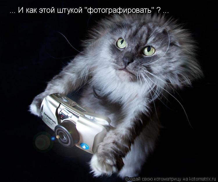 Котоматрица: ... И как этой штукой "фотографировать" ? ...