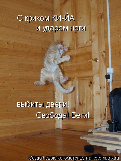 Котоматрица: C криком КИ-ЙА и ударом ноги выбиты двери! Свобода! Беги!